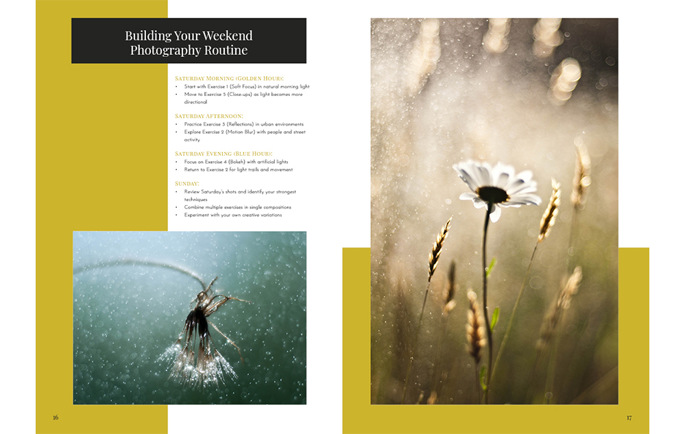 SUMMER IMPRESSIONIST PHOTOGRAPHY GUIDE sample pages