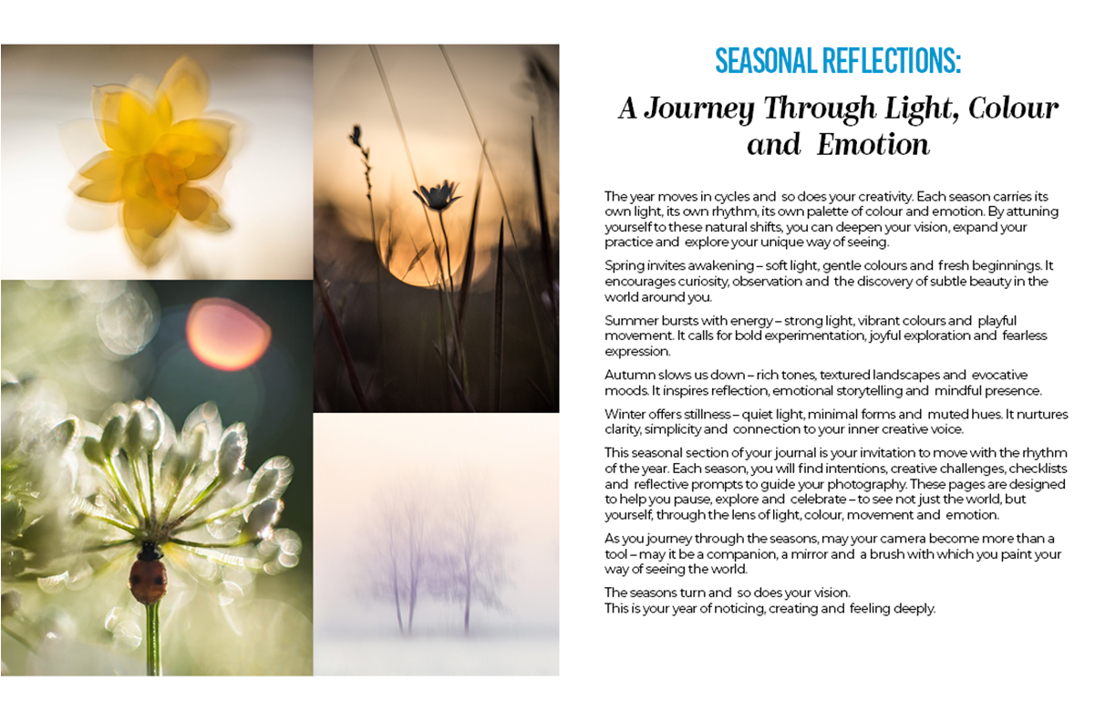 Creative Exercises for Winter Light sample pages