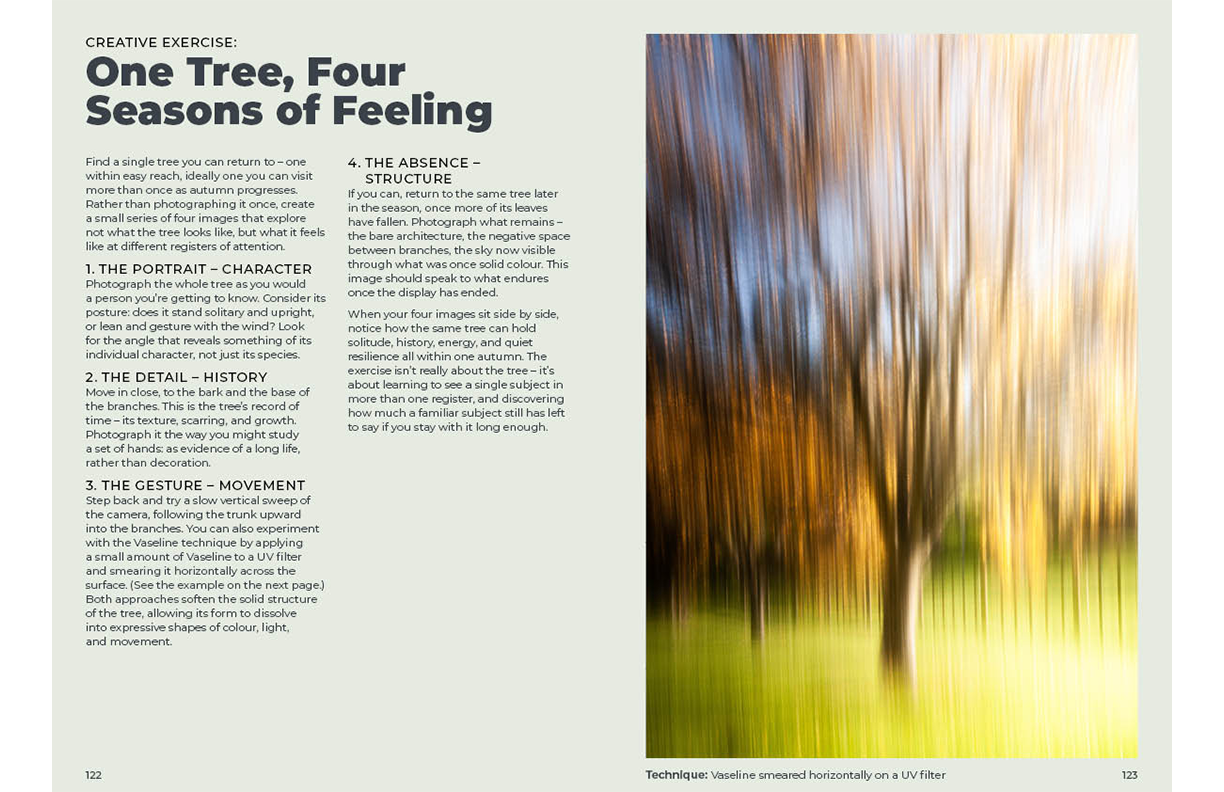 AUTUMN IMPRESSIONIST PHOTOGRAPHY GUIDE sample pages