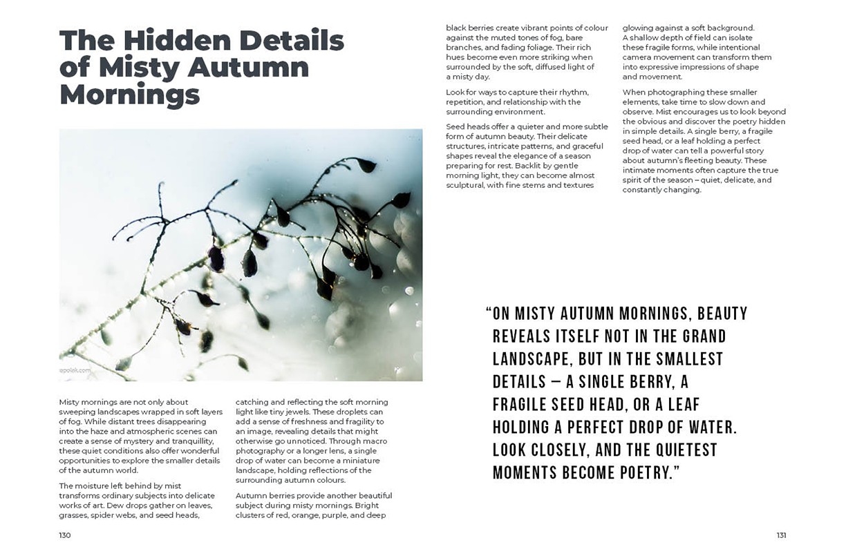 AUTUMN IMPRESSIONIST PHOTOGRAPHY GUIDE sample pages