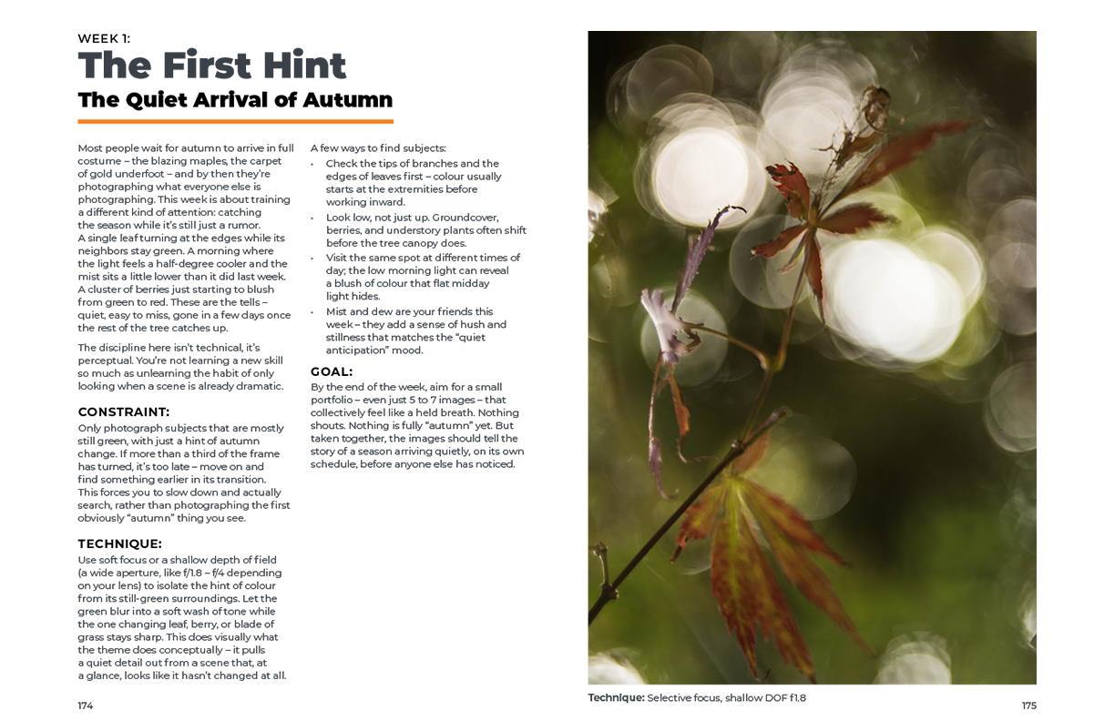 AUTUMN IMPRESSIONIST PHOTOGRAPHY GUIDE sample pages