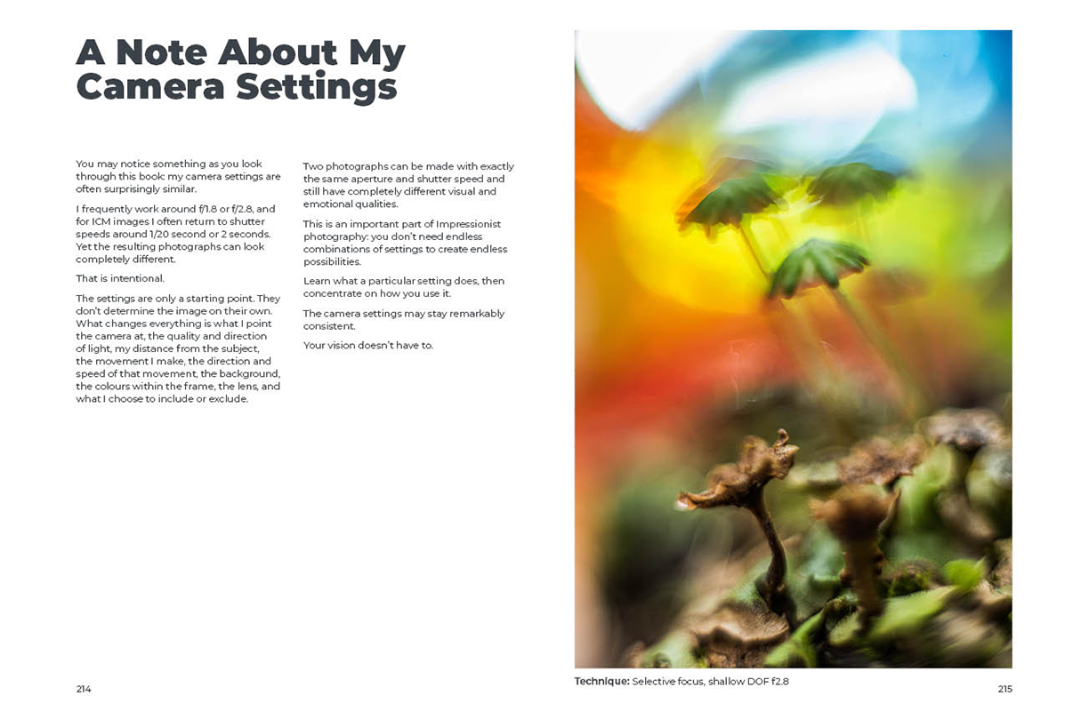 AUTUMN IMPRESSIONIST PHOTOGRAPHY GUIDE sample pages