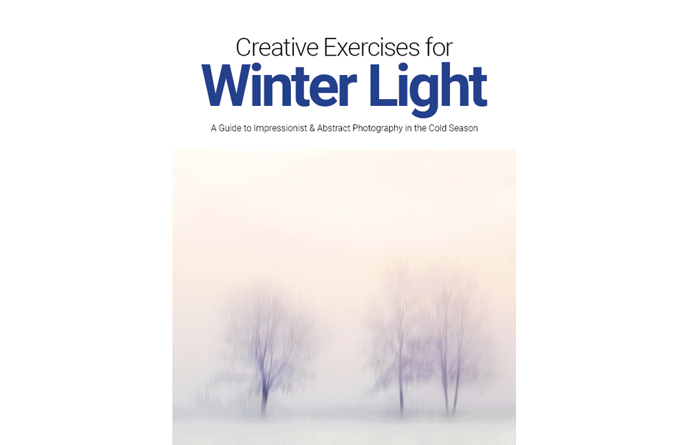 Creative Exercises for Winter Light book
