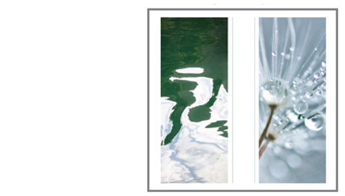 Image of Water Revealed exhibition Invitation