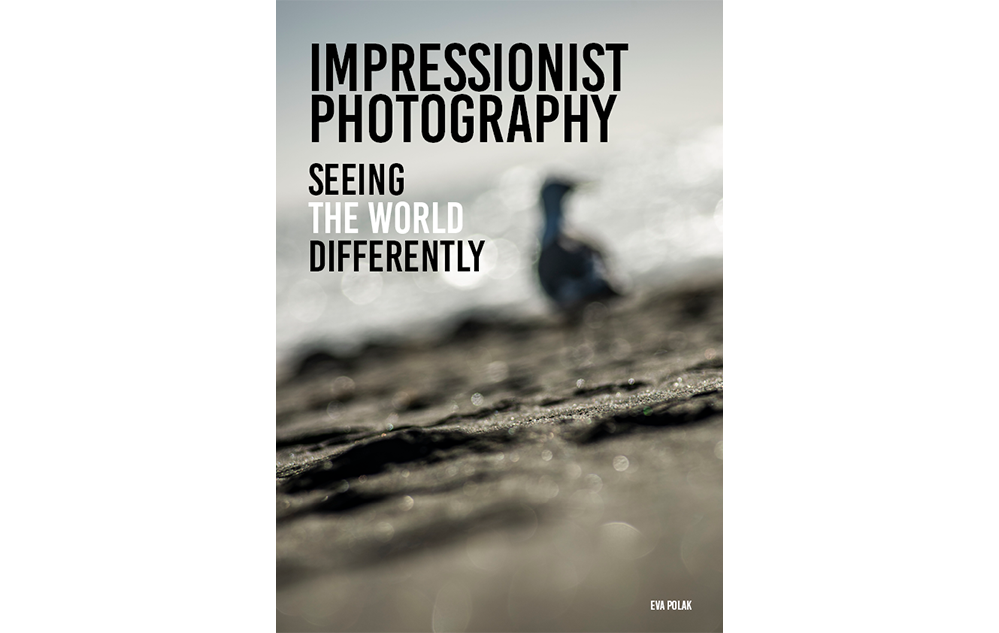 Seeing The World Differently Book sample pages