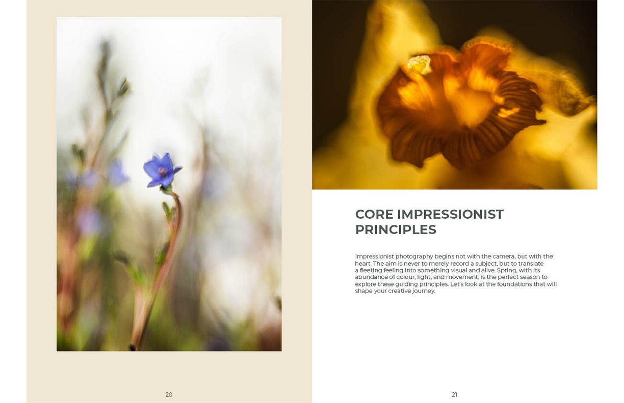 Spring IMPRESSIONIST PHOTOGRAPHY GUIDE sample pages