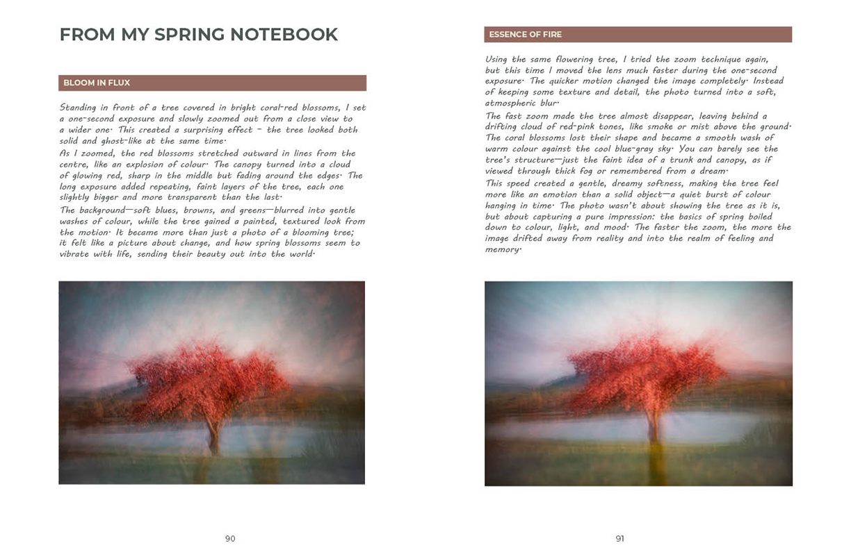 Spring IMPRESSIONIST PHOTOGRAPHY GUIDE sample pages