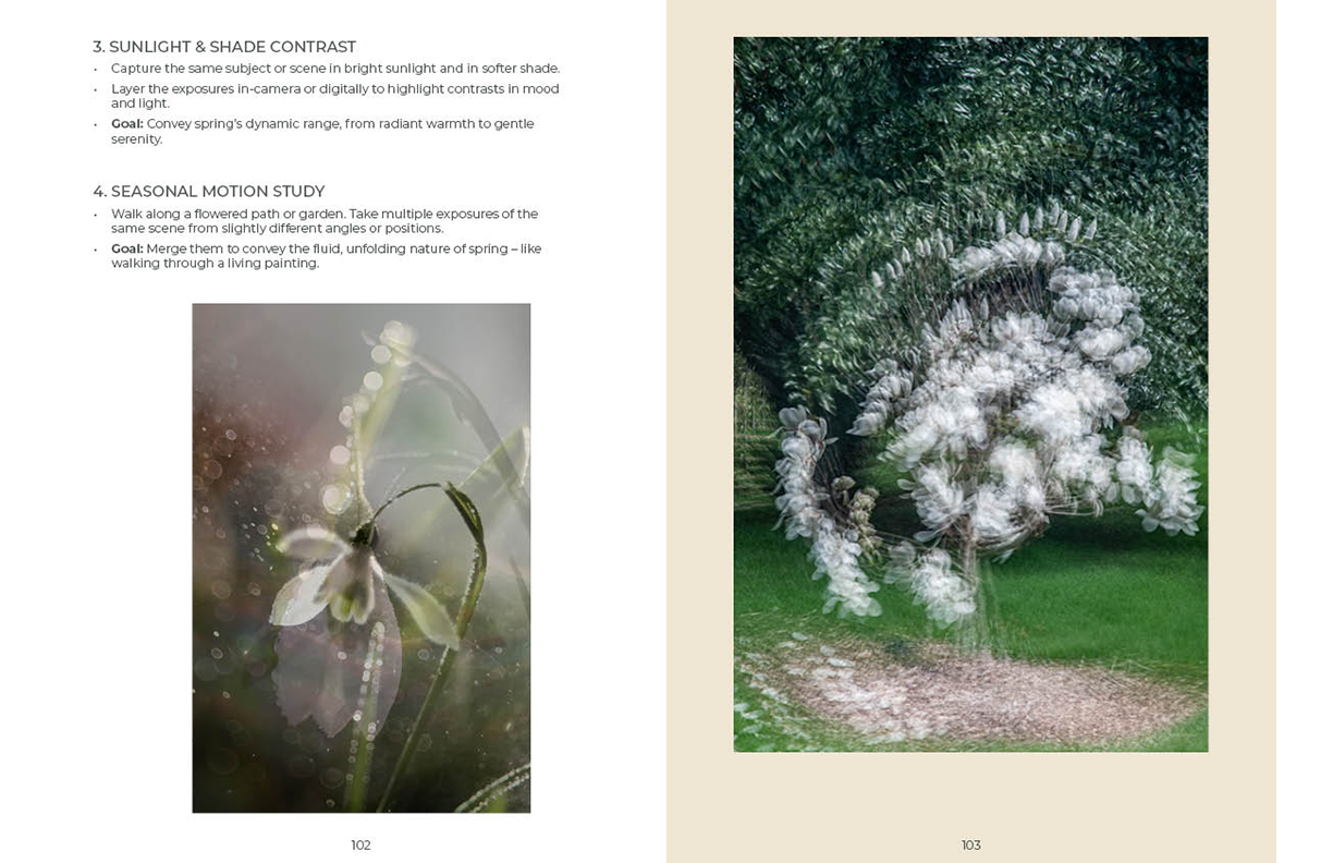 Spring IMPRESSIONIST PHOTOGRAPHY GUIDE sample pages