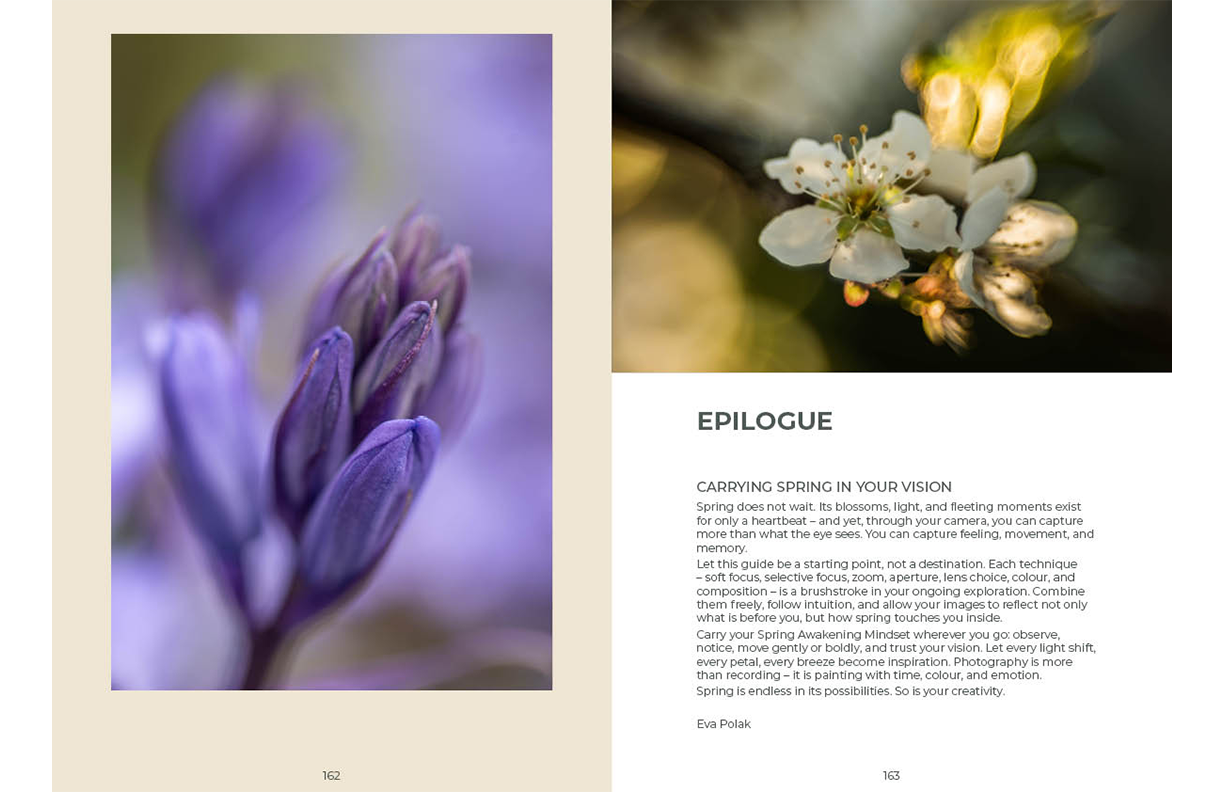 Spring IMPRESSIONIST PHOTOGRAPHY GUIDE sample pages