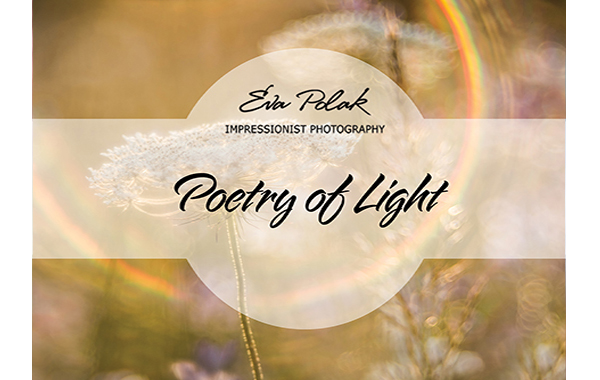 Poetry of light banner