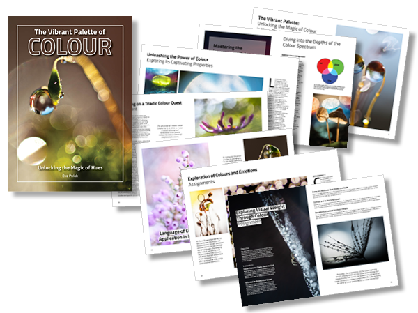 book pages