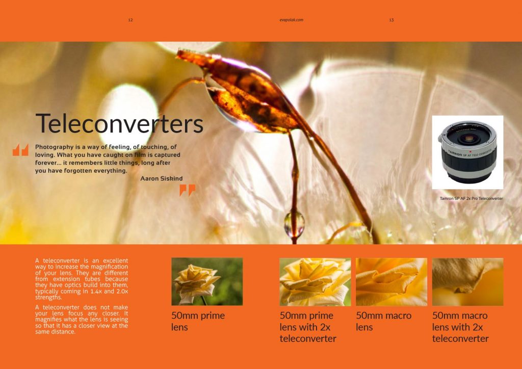 Inside of Macro Magazine