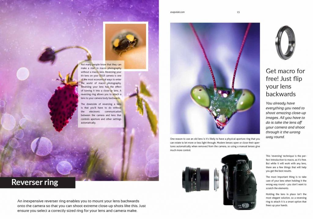 Inside of Macro Magazine