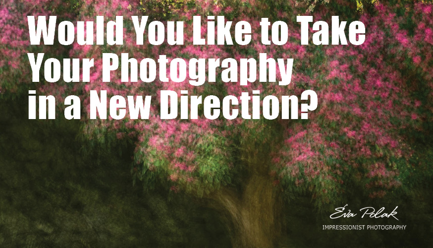 Would You Like to Take Your Photography in a New Direction?