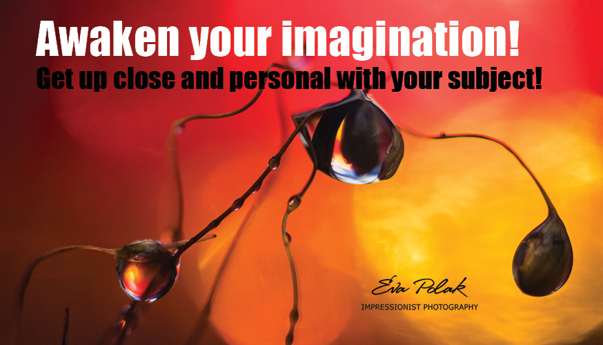 Awaken your imagination!